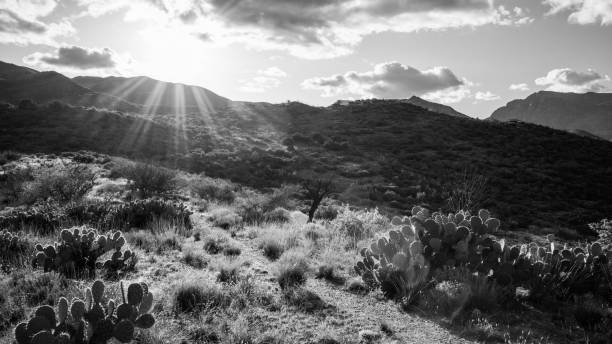 istock Sunset on hiking trail through Mazatzal Mountains 2086737737