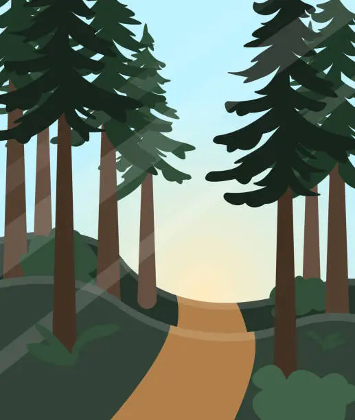 Vector illustration of Cartoon forest with tall pine trees and sun rays