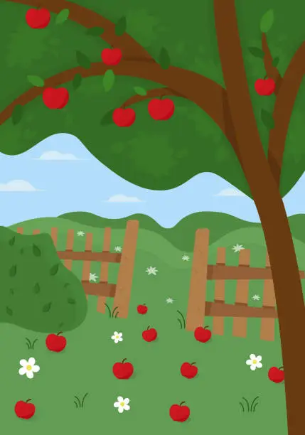 Vector illustration of Cartoon apple orchard with fence, clouds, leaves, bushes and clouds