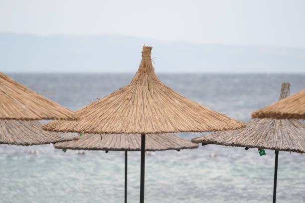 Sunbeds, Umbrellas and Hammocks in a beach in Summer