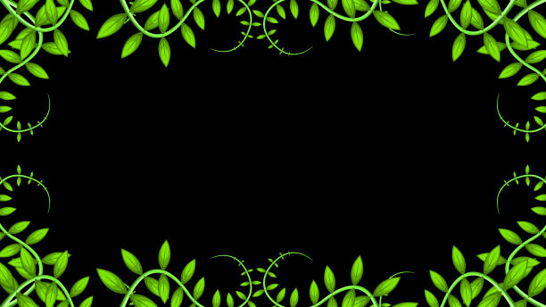 istock decorated frame of green plant leaves on black background 2086756438