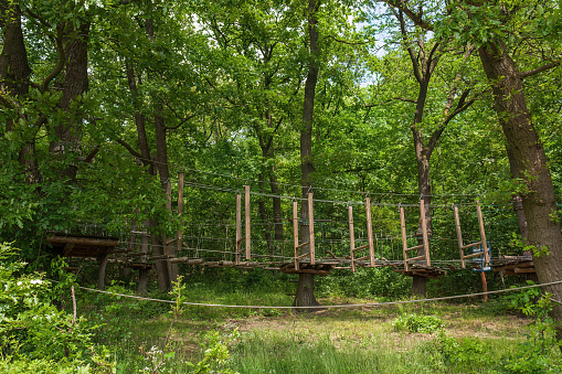 Wood bridge and high wire activity in a forest.