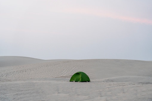 One small green tent in the middle of white dunes, called Sugar dunes in the morning at Al Khaluf, Oman