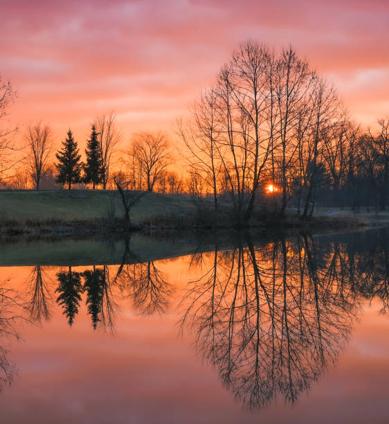 A tranquil lake by a lush forest and hillside