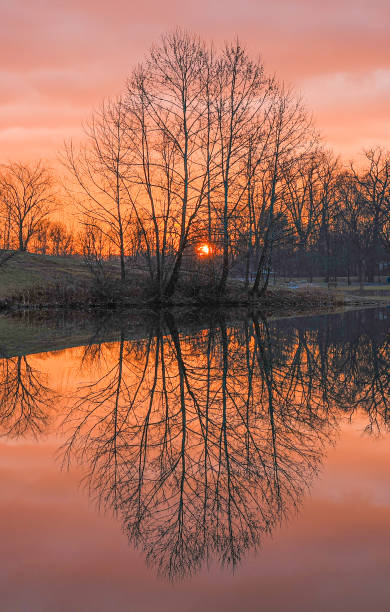 istock Colorful sunset reflecting in the sky with trees and clouds in the foreground 2086784550
