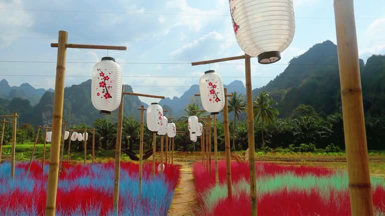 Chinese lanterns in the park decoration swinging on the wind