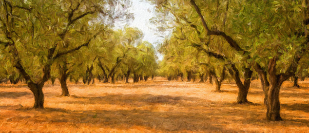 Creative illustration, vintage watercolor artistic design. Olive tree. Vintage design, natural background, nobody