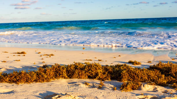 Turks & Caicos