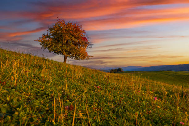 Carpathian mountains landscape, Eastern Slovakia
