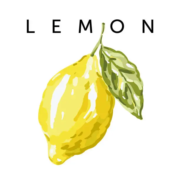 Vector illustration of Yellow lemon with green leaf on the white background. Vector illustration. Summer fruit. Design print for t shirt, poster, card