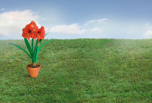 A flowerbed sandwiched between a green grass area of lawn and a brown colored wooden fence consisting of a blend of bushes and flowers in bloom as well as trees in a formal setting.