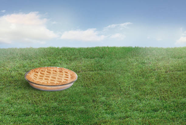 Baked apple pie in a pan on a grass lawn
