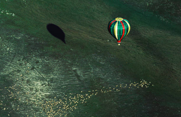 Hot air balloons in flight through Carmel Valley, with a herd of sheep grazing on the ground below.Taken in Carmel Valley, California, USA.