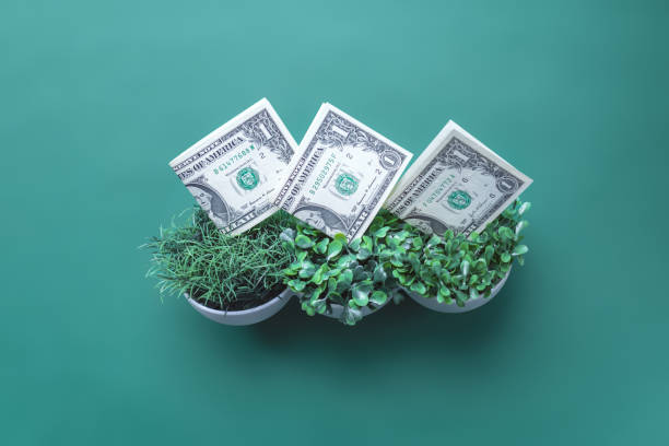 istock Conceptual images about the dollar 2087094032