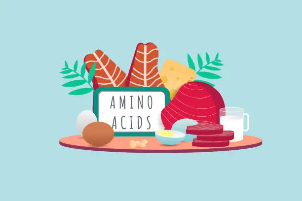 Vector illustration of Illustration of food sources that contain amino acids from animal protein. Meat, eggs, milk, fish, nuts, cheese