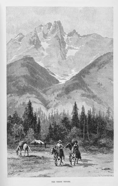 три тетона - teton range illustrations stock illustrations