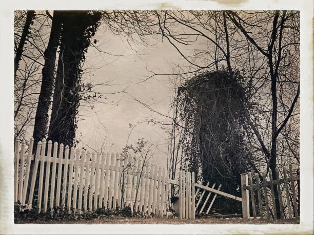 istock Antique Gothic Southern Scene 2087252601