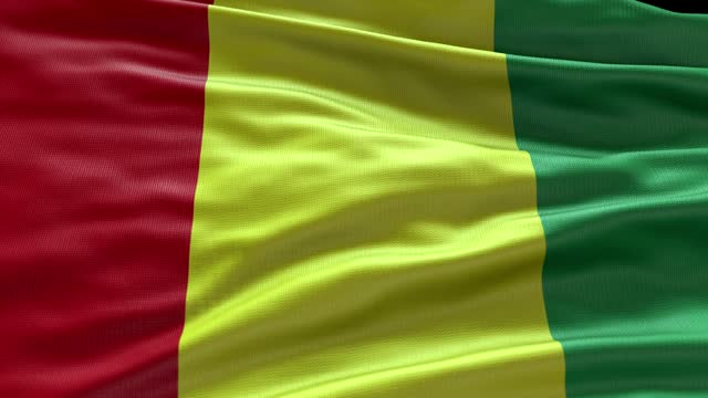 Guinea   flag waving in the wind. Realistic  with highly detailed fabric