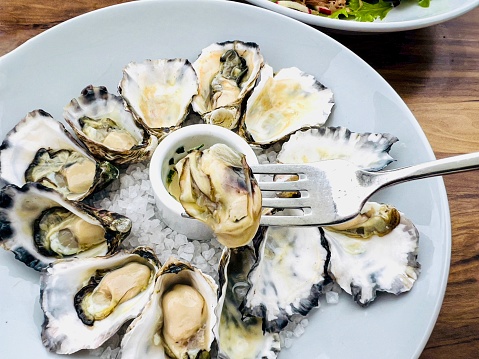 Horizontal high angle closeup photo of a dozen freshly shucked oysters in the half shell on rock salt with a chive vinaigrette dipping sauce served on a white ceramic plate on a wooden table in a fine dining restaurant. Ulladulla south coast NSW.
