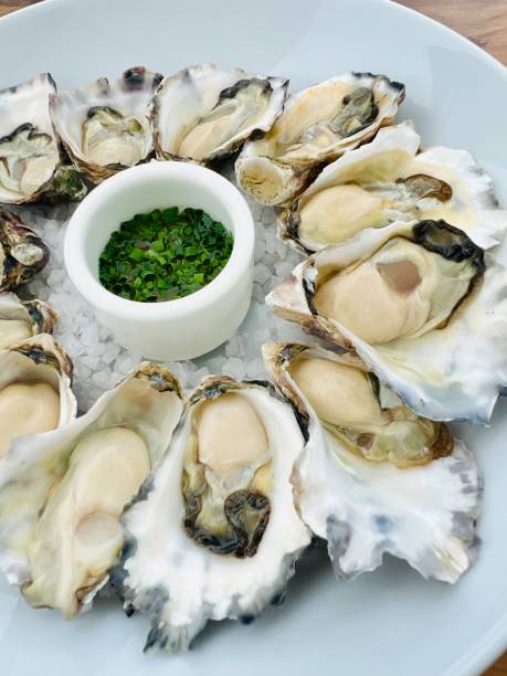 istock Australian Appellation Rock Oysters on a Plate 2087318626