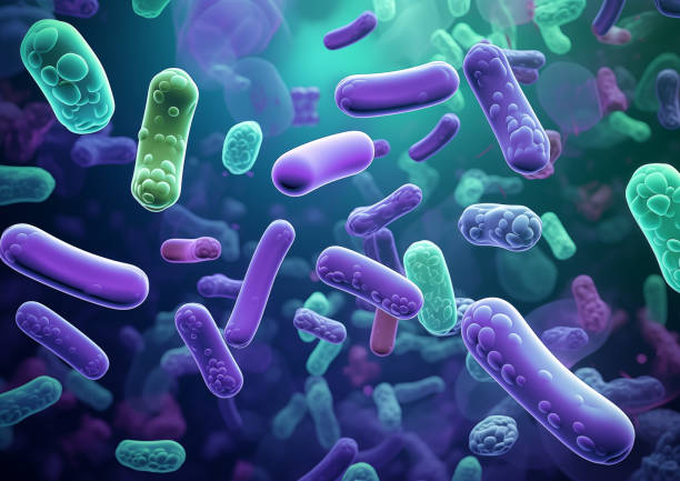 istock Ecoli Bacteria Germs Food Poisoning 2087330364