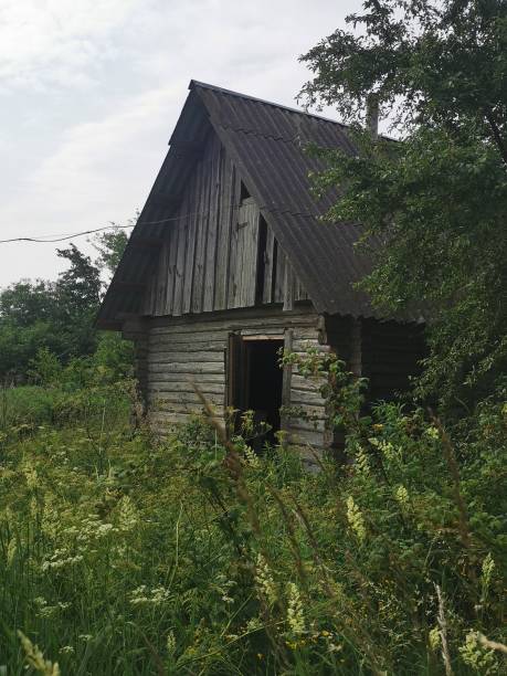 istock a wooden house in the forest is falling apart from old age 2087366400