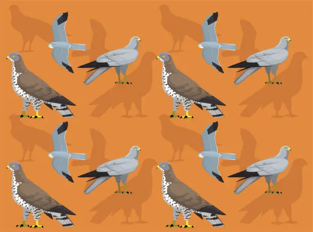 Vector illustration of Bird Hawk European Honey Buzzard Cute Seamless Wallpaper Background