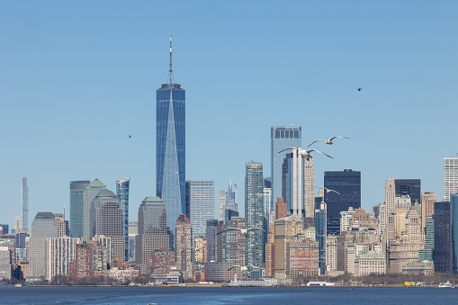 View of Lower Manhattan with One World Trade Center in the middle.