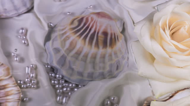 Floating white roses against a background of seashells with pearls underwater and ripples on the surface of the water.