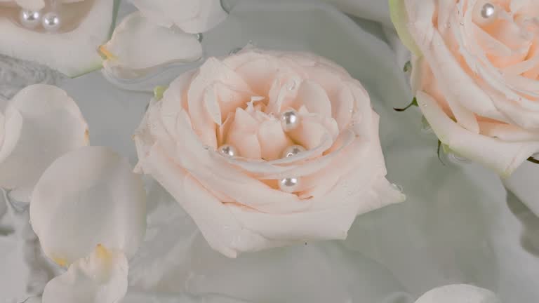 Rose petals fall on the surface of the water with rose flowers and pearls. Background in gray-pink pastel colors.