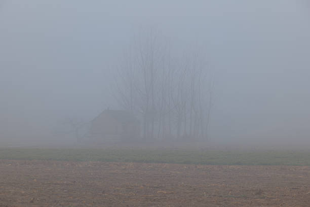 Chinese old paved road in a village. Dense fog.