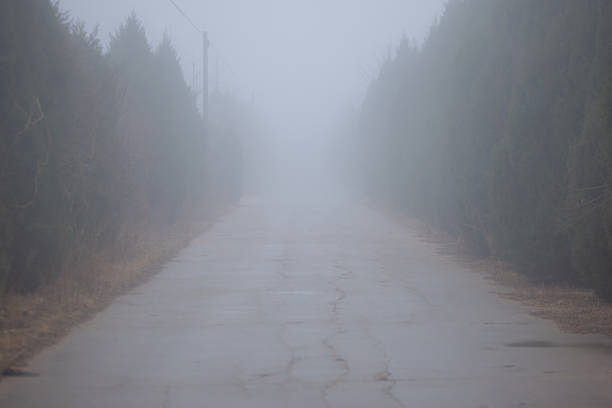 Chinese old paved road in a village. Dense fog.