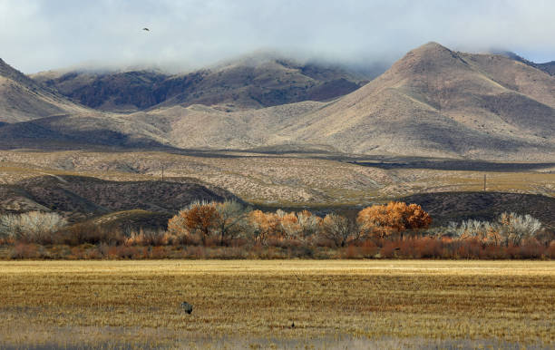 istock Hills of Chupadera Mountains 2087547696