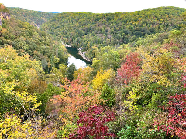 istock Beautiful Honey Creek 2087567765