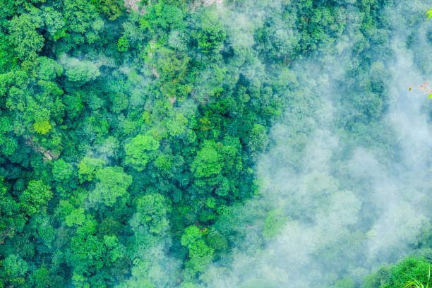 istock Zhangjiajie national forest park,China 2087625971
