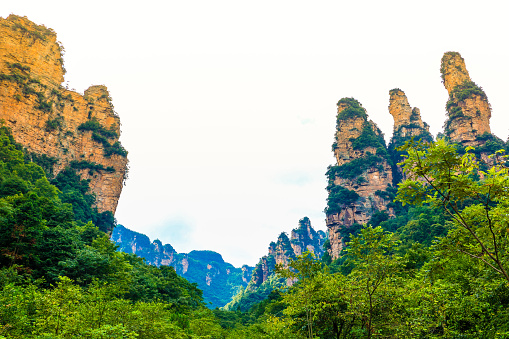 Three sisters peak at Zhangjiajie national forest park,located in Wulingyuan town,China