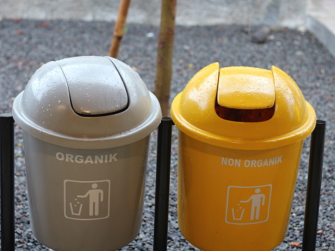 Solo - March 17, 2024: yellow trash can for organic waste and gray trash can for non organic waste