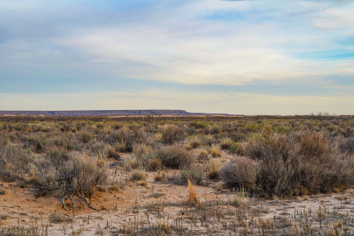 In the distance, a sand dune and mesa in the Chihuahua Desert. Lincoln National Forest, a national park covering 1.1 million acres and three mountain ranges in southeastern New Mexico administered by the US Forest Service.