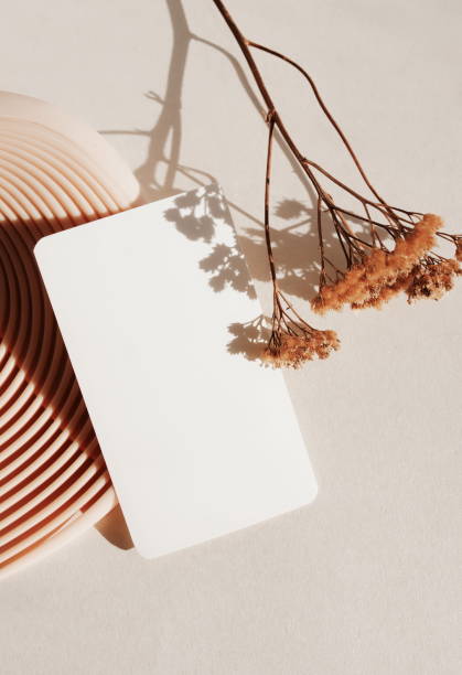 istock Business card mockup, empty white blank, dry flower and sunlight shadow top view on beige background with copy space. flat lay. greeting card template, invitation. Neutral colors, aesthetic 2087682972
