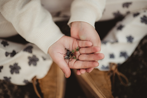 Little boy holding small plant with dirt and roots