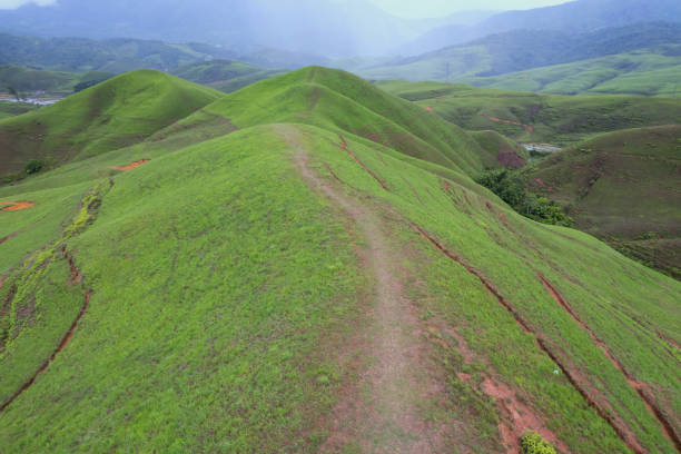 Mountain valley during sunrise. Natural summer landscape
