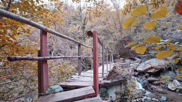 Rustic wooden bridge over a rocky creek in a serene autumn forest, leaves scattered around