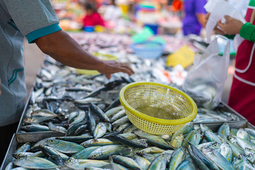 People hand choose and buy tuna seafood fish in traditional fishery market