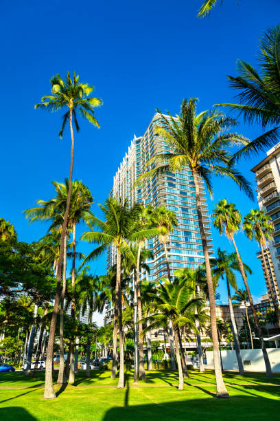 istock Fort DeRussy Beach Park in Honolulu, Hawaii 2087976152