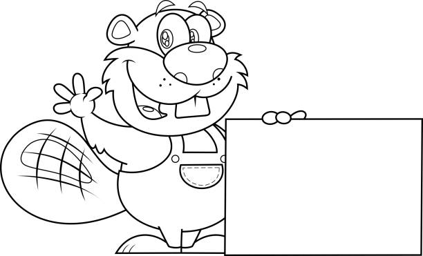 ilustrações de stock, clip art, desenhos animados e ícones de outlined cute beaver cartoon character holding a blank sign and waving for greeting - 16191