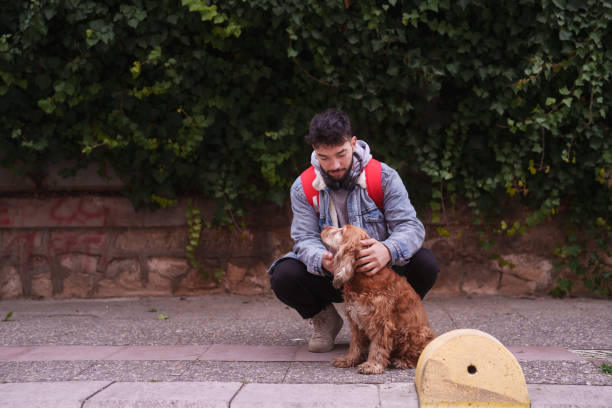 Istanbul, Turkey - December 14, 2014: Two photographers taking pictures of their cute model with a great joy at Sultanahmet square. The cat seems to like it too.