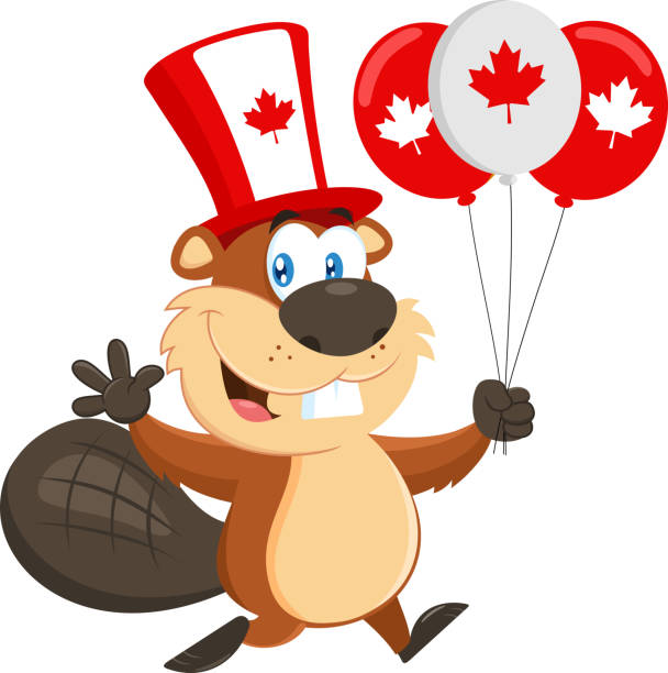 postać z kreskówki kanadyjski bóbr biegnąca z balonem na szczęśliwy dzień kanady - 16204 stock illustrations