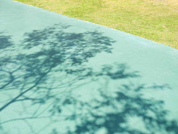 Light and shadows of trees projected onto the wall.