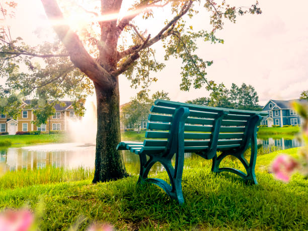 Close up bench on green grass by lakeside