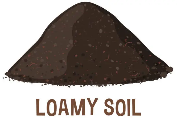 Vector illustration of A simple depiction of a mound of loamy soil.